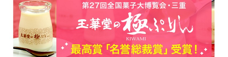 �ʉؓ��̋ɂՂ�񁕊e��A�a�m�َq�M�t�g�y�ʉؓ��z���T�C�g